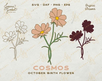 Cosmos Flower SVG, October Birth Flower, Outline, Silhouette (Digital Download)