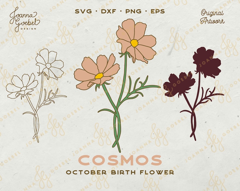 May include: Digital illustration of cosmos flowers in three styles: line art, colored, and silhouette. The colored version features peach petals and a yellow center. Text reads "COSMOS OCTOBER BIRTH FLOWER".