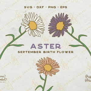 Aster SVG; September Birth Flower SVG; Layered Flower Svg bundle; Aster Flower Tattoo; Floral Decal; Spring Flower svg; Cricut, Silhouette
