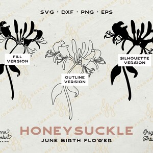 May include: Three versions of a black and white honeysuckle flower illustration. The first version is a filled silhouette, the second is an outline, and the third is a filled silhouette. The text "Honeysuckle June Birth Flower" is below the illustrations.