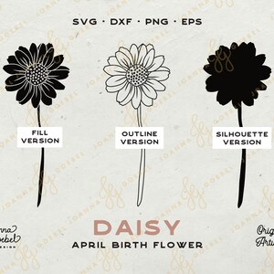 Op de afbeelding: Drie versies van een madeliefje-afbeelding: een zwarte gevulde versie, een witte omtrekversie en een zwarte silhouetversie. De tekst "Daisy" en "April-geboortebloem" staat onder de afbeeldingen. De tekst "Original Artwork" staat in de rechterbenedenhoek.