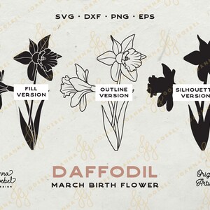 Pu&ograve; includere: Tre versioni di una grafica di fiore di narciso: una versione nera piena, una versione di contorno bianco e una versione di silhouette nera. Il testo "Versione piena", "Versione contorno" e "Versione silhouette" si trova sotto ogni grafica. Il testo "Narciso Fiore di nascita di marzo" si trova sotto le grafiche. Il testo "Opera d'arte originale" si trova nell'angolo in basso a destra.