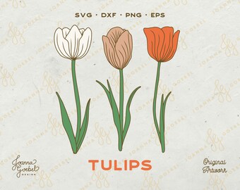 Tulipani SVG; Tulipano a strati SVG; Fiore di primavera SVG; Fascio di tulipani; JoannaGoebelDesign; Fiore a strati Svg; Cricut, sagoma dxf