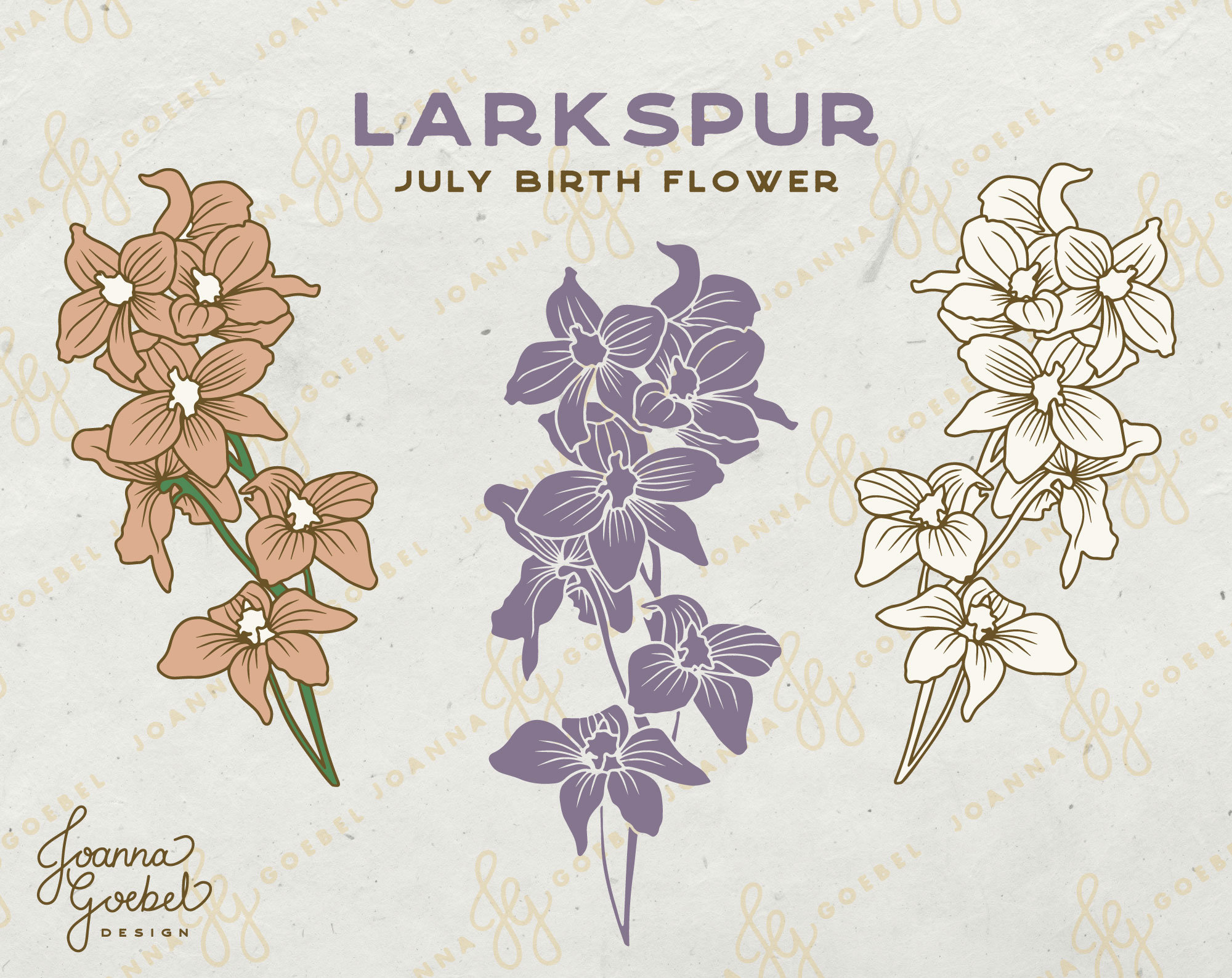 July Birth Flower Larkspur Drawing | ubicaciondepersonas.cdmx.gob.mx
