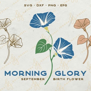 Morning Glory SVG; September Birth Flower SVG; layered flower svg; JoannaGoebelDesign; spring flower svg; Cricut Silhouette, dxf, png