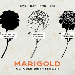 May include: Three versions of a marigold flower graphic: a black silhouette, a white outline, and a filled black version. The text "MARIGOLD" and "OCTOBER BIRTH FLOWER" is below the images.