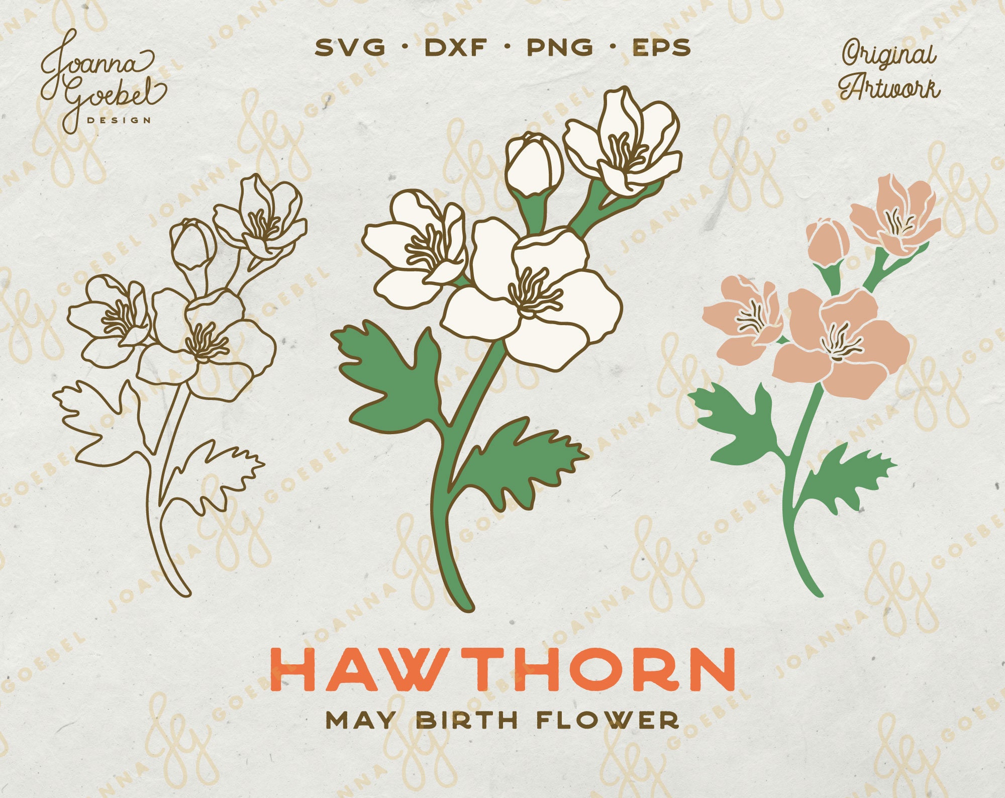 Hawthorn SVG May Birth Flower SVG Layered Flower Svg birth | Etsy