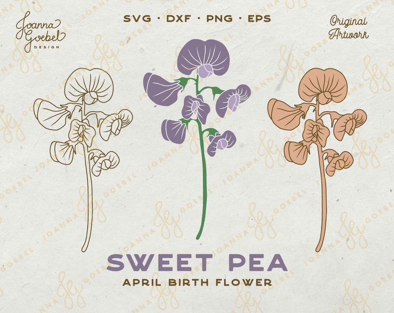 Puede incluir: Tres dibujos lineales de flores de guisante dulce en diferentes colores. La primera flor est&aacute; delineada en oro, la segunda es morada y la tercera es melocot&oacute;n. El texto "SWEET PEA" y "APRIL BIRTH FLOWER" est&aacute; debajo de las flores.
