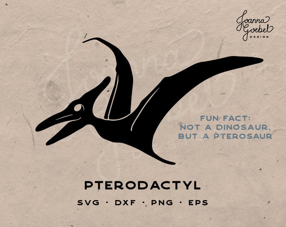 Pterodactyl Dinosaur Illustration PNG & SVG Design For T-Shirts