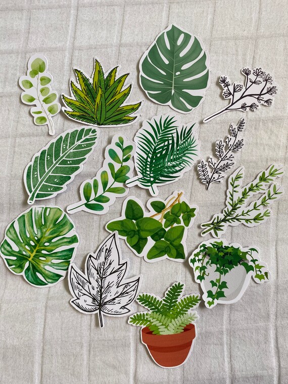 Plant Sticker Pack Scrapbook stickers laptop stickers Etsy