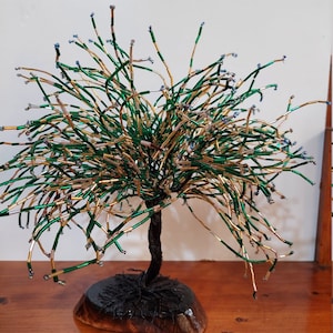 A tree with glass tubes