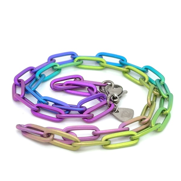 Ladies Titanium Rainbow Paperclip Necklace