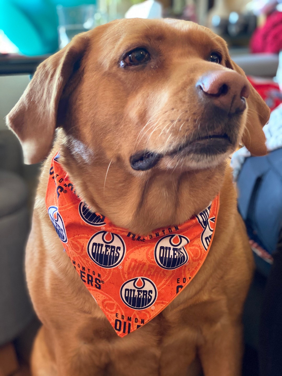 Edmonton Oilers Reversible Pet Bandana Etsy