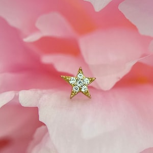 All Night Long - Boeddha sieraden organische stoffen 14kt geelgouden ster effenen, voor helix, plat, lob, voorwaartse helix, neusgatpiercings