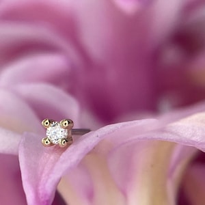 Buddha Jewelry Organics Genuine Diamond prong set in 14kt Yellow Gold, 18g, perfect for Nostril, Forward Helix, Stacked Lobe