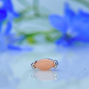 Genuine Coral set in 14kt White Gold threadless top, for Helix, Flat, Lobe, Forward Helix piercings