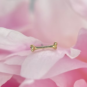 Junipurr Thighbone 14K Yellow Gold Threadless Jewelry, perfect for Helix, Conch, Lobe, Flat & More