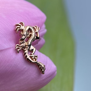 14k Yellow Gold Dragon 16g, 1.2mm Internally threaded - Foes Jewelry