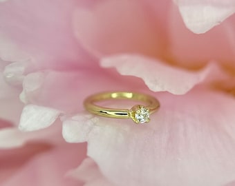 May include: A delicate gold ring with a single, small diamond set in the center, resting on a soft pink flower petal.