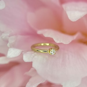Body Gems Prong set CZ Seam Ring 14kt Yellow Gold, 1mm 18g x 6mm Perfect for Nostril, Helix, Forward Helix, Rook Piercings