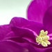 see more listings in the Yellow Gold section