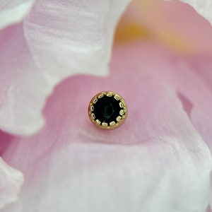 Genuine Onyx Fusion 3mm from Body Gems 14K Yellow Gold 1.2mm 16g, perfect for Helix, Conch, Rook, Vertical Labret & More Piercings