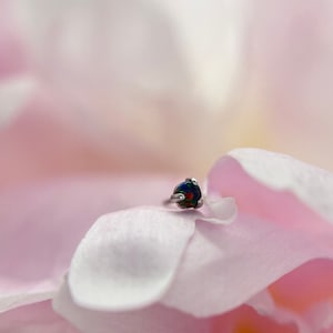 14k White Gold 2.3mm Thrice Black Opal from Body Gems suitable for Forward Helix, Conch, Nostril, Tragus & Helix piercings