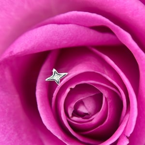 Divinity from Ember Body Jewelry 14kt witgoud en echte diamant, voor helix, flat, lobe, conch en traguspiercings