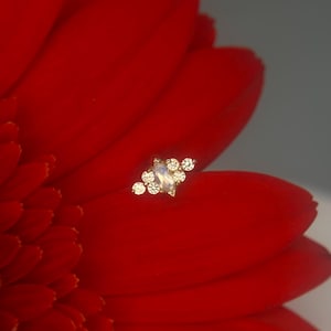 Pode incluir: Uma pequena joia dourada com uma pedra central em forma de marquesa, rodeada por pedras menores, redondas e transparentes. A joia está colocada sobre uma flor vermelha vibrante, criando um contraste marcante. Provavelmente um brinco ou um piercing no nariz.