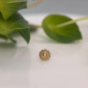 May include: A small, gold-colored stud earring with a detailed, circular design. The earring features a central, raised circle surrounded by a decorative, beaded border. The background includes green leaves and a white surface.