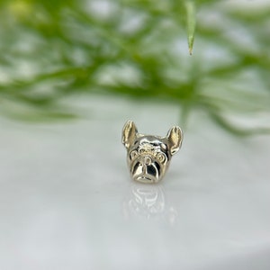 French Bulldog, White Gold Dog from Mushroom 14K White Gold Threadless Jewelry, perfect for Helix, Nostril, Conch, Lobe, Flat & More