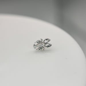 Crawfish from Mushroom 14K White Gold Threadless Jewelry, perfect for Helix, Nostril, Conch, Lobe, Flat & More