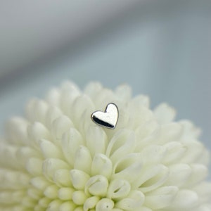 3mm Heart from Kiwi Diamond 950 Platinum Threadless Jewelry, perfect for Helix, Nostril, Conch, Lobe, Flat & More
