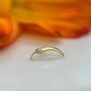 キノコから生まれたチリペッパー 14K イエローゴールド スレッドレス ジュエリー。ヘリックス、ノーズ、コンク、ローブ、フラットなどに最適です。