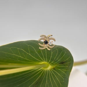14k Yellow Gold Venomous Spider, Black and Clear CZ from Body Gems suitable for Flat, Conch, Nostril, Tragus & Helix piercings - Threadless