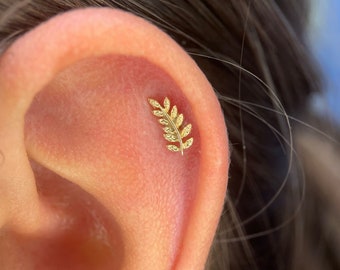 Right or Left facing Willow from Junipurr, 14k Yellow Gold Leaf for helix, conch, faux rook piercings + more