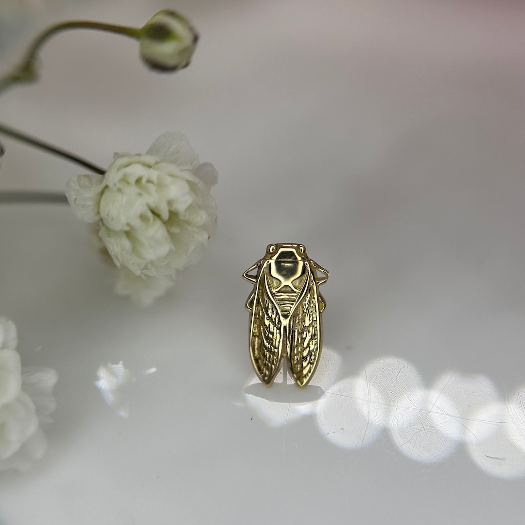 Cicada - 14k Yellow Gold From Body Gems Suitable for Flat, Conch ...