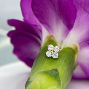 Quadrinity 14K Yellow Gold Jewelry, perfect for Helix, Conch, Lobe, Flat & More 1.2mm 16g