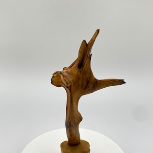 Escultura de madera flotante, objeto de arte.