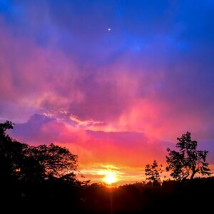 Manuel Antonio Sunset 16"x24" Leinwand