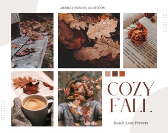Gemütliche Herbst Mobile Lightroom Voreinstellungen