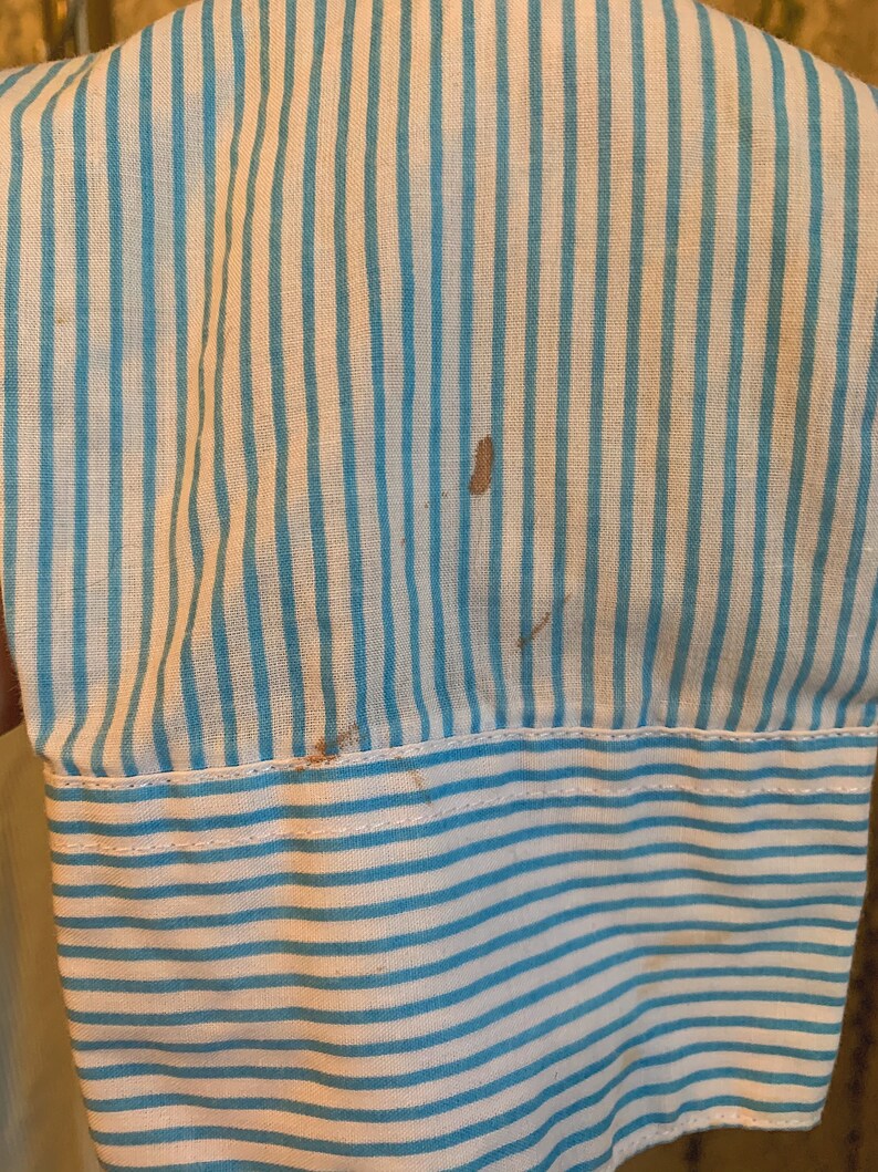 Vintage Hummingbird Striped Shirt