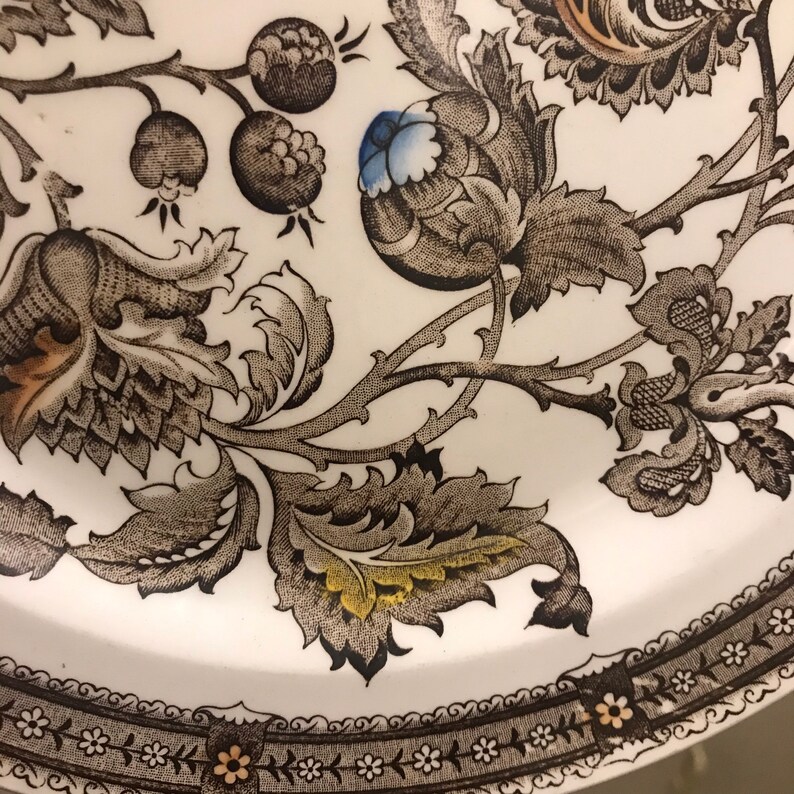 Ridgway Ironstone Jacobean Large Dinner Plates