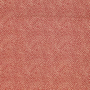Liberty Fabric Tana Lawn (Marco)