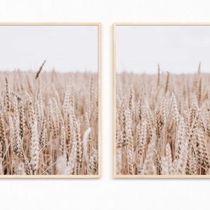 Corn Field Set of 2 Prints, Boho Nature Print, Minimalist Art, Beige Wall Art, Landscape Poster Scandinavian Wall Art, Wall Decor