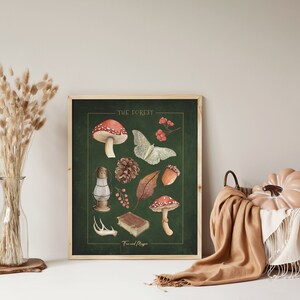 May include: A green poster with the text "THE FOREST" in gold lettering. The poster features illustrations of forest elements, including a red and white mushroom, a moth, a pine cone, a leaf, a lantern, berries, a book, and antlers. The text "Fairies and Magic" is at the bottom of the poster.