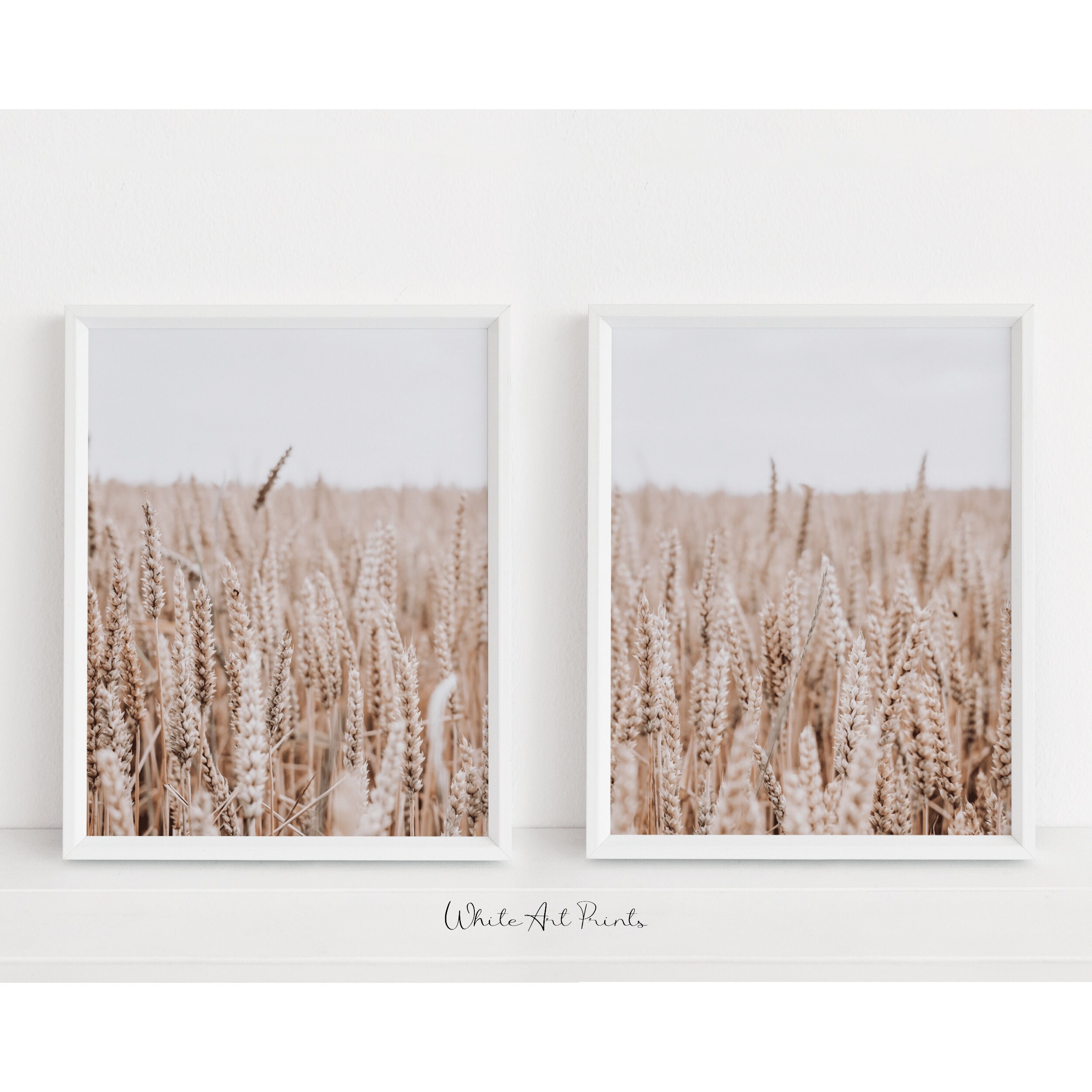 Corn Field Casual / Beige