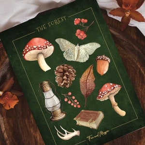 May include: A green background with the text "The Forest" in gold lettering.  The image features a collection of forest-themed illustrations, including mushrooms, a moth, a pine cone, a leaf, berries, a lantern, a book, and antlers.