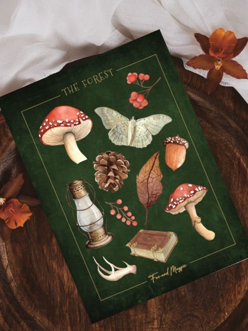 May include: A green background with the text "The Forest" in gold lettering.  The image features a collection of forest-themed illustrations, including mushrooms, a moth, a pine cone, a leaf, berries, a lantern, a book, and antlers.