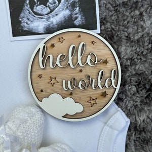Discos de hitos de Hello World / Regalo para recién nacidos / Regalo de baby shower / Accesorios para fotografías en redes sociales para bebés / Hitos mensuales